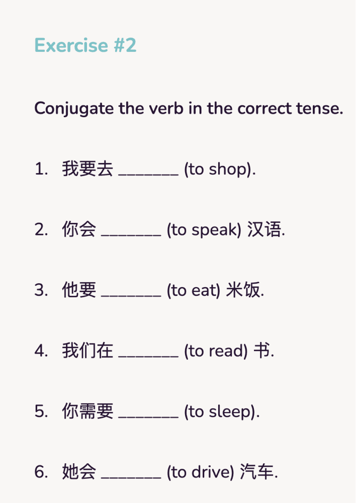 Beginners Chinese Workbook PDF